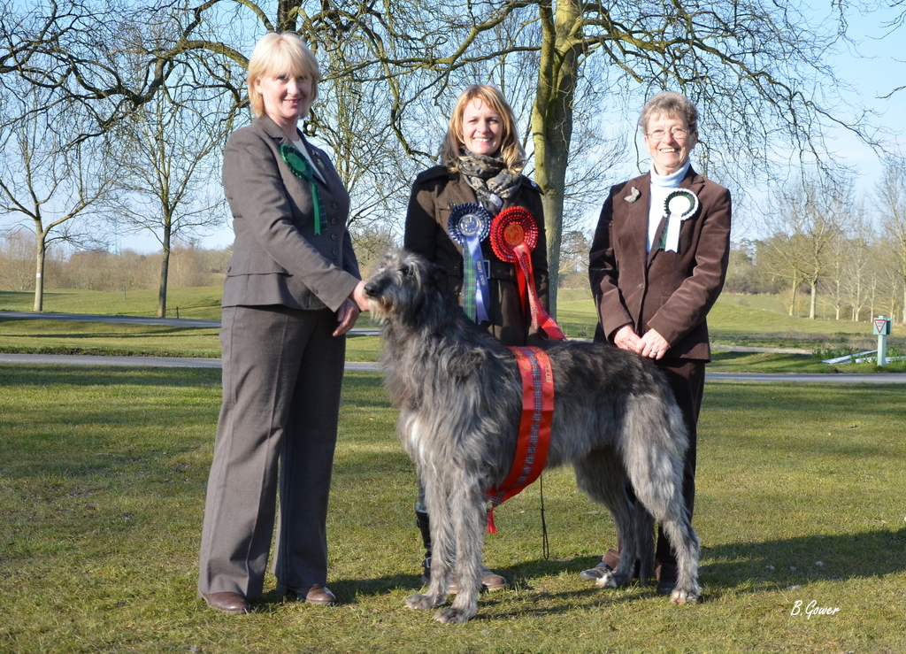 BIS & RBIS Breed Show 2013
